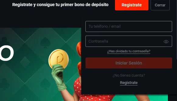 Pin Up login