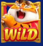 fortune tiger wild